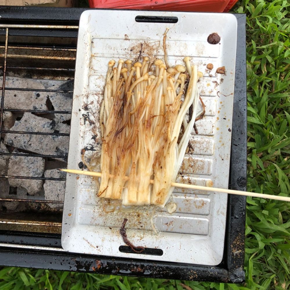 Durable Titanium Camping Grill - Camping Cooking Pan recension och pris