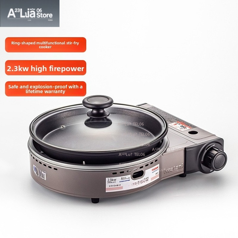 Portable Windproof Gas Stove B - Camping Cooking Gas recension och pris